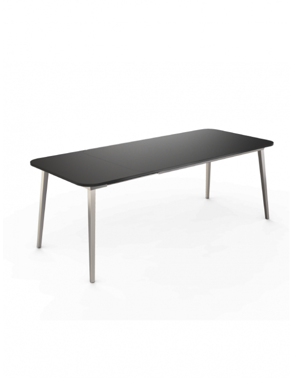 X TABLE EXTENDIBLE